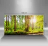 Wald in der Sonne – Leinwandbild Wandbild – 100x50 cm – Produktbild-Vorschau 4