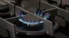 A close-up view of a gas stove burner with blue flames. Produktbild-Vorschau