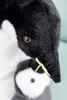 Close-up of two plush penguins, one larger and one smaller, with a light blue background. Podgląd zdjęcia produktu