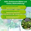 Purgrün Zimmerpflanzen-Dünger 1 Liter Produktbild-Vorschau 3