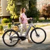 SAXXX Trekking E-Bike 28 Zoll, 250W bürstenloser Produktbild-Vorschau 14