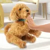 Moji Labradoodle knuffel, puppy - ongeveer 35 cm Productafbeelding-voorbeeld 10