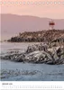 Patagonien, die schönsten Reiseziele: Wildnis am Rande der Produktbild-Vorschau 4