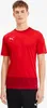 Puma GOAL 23 Trainingstrikot Herren gelb Gr L Produktbild-Vorschau 8