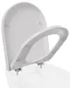 ANYCEE Toilettendeckel mit Absenkautomatik 46x36.5 CM, WC Produktbild-Vorschau 2