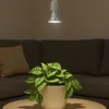 A plant light illuminates a potted plant on a table in front of a couch. Anteprima dell’immagine prodotto