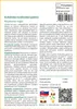 SAFLAX - Kubánska kráľovská palma - Roystonia regia - 8 Náhľad obrázku produktu 3