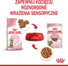 ROYAL CANIN FHN Kitten Sterilised - mokra karma dla kociąt Podgląd zdjęcia produktu 4