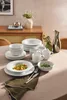 Rosenthal 20-częściowy zestaw kombinowany CASINA Podgląd zdjęcia produktu 5