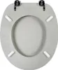 A top-down view of a toilet seat. Produktbild-Vorschau