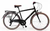 Dallas Bike Trekkingrad Herren - 28 Zoll - Stahlrahmen XL Produktbild-Vorschau 5