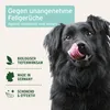 AniForte Fellgeruch-STOP für Hunde & Katzen 200 ml - Produktbild-Vorschau 6