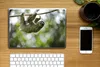 MuchoWow® Laptop Aufkleber Sticker Cover Ein Faultier hängt Produktbild-Vorschau 2