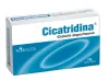 CICATRIDINA Vaginalzäpfchen 2g Miralex 10 Stück Produktbild-Vorschau 1