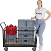 Profi Plattformwagen mit abnehmbaren Gitterwänden | HxBxT Produktbild-Vorschau 2