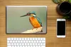 MuchoWow® Laptop Aufkleber Sticker Cover Vogel - Eisvogel - Produktbild-Vorschau 2