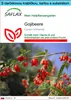 SAFLAX Darčeková sada - Gojibeere - Lycium chinensis - 200 Náhľad obrázku produktu 1