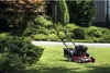 Mtd Wertykulator Aerator Spalinowy 208Cc Optima 38 Vo Podgląd zdjęcia produktu 3