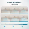 Cecotec 08494, Domácí vrtulový ventilátor, Dřevo, Strop, 30 Náhled obrázku produktu 5