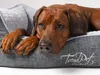 TrendPet VitaBed Classic orthopädisches Hundebett grau Produktbild-Vorschau 3