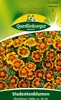 Studentenblume, Ehrenkreuz Produktbild-Vorschau 1