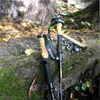 Two trekking poles are resting on a moss-covered log in a forest setting. Podgląd zdjęcia produktu