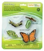 Safari S622616 - Cycle de vie d'un papillon monarque Voir les images du produit 2