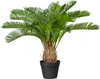 Umelá rastlina cykas cycas revoluta 60 cm zelená v Náhľad obrázku produktu 1