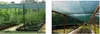 SCHATTIERNETZ ANTHRAZIT 2M x 25 M, 90 % SCHATTEN Anteprima dell’immagine prodotto 10