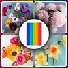 Krepppapier 50x200 Cm Set 10 Farben – Dekoratives Produktbild-Vorschau 3