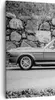 Bild auf Leinwand - Leinwandbild - Einteilig - Auto Ford Produktbild-Vorschau 1