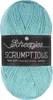 Scheepjes Scrumptious 100g 345 Cherry Bonbon Produktbild-Vorschau 2