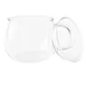 A clear glass teacup with a handle and lid, isolated on a white background. Náhled obrázku produktu