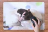 MuchoWow® Schreibtischunterlage Knuddelige Ratten 60x40 cm Produktbild-Vorschau 3