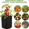 5 pièces Sac de plantation Réutilisable Sac de plantation Voir les images du produit 2