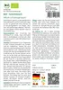SAFLAX - BIO - Schnittlauch - Allium schoenoprasum - 250 Produktbild-Vorschau 3