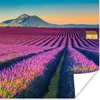 MuchoWow® Poster Lavendel - Berg - Blumen 50x50 cm - Produktbild-Vorschau 1