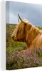 OneMillionCanvasses® - Leinwandbilder - 90x140 cm, Scottish Produktbild-Vorschau 1