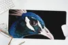 MuchoWow® Mauspad Mousepad Pfau - Tier - Blau 60x30 cm - Produktbild-Vorschau 5
