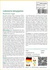 SAFLAX - Cubanische Königspalme - Roystonia regia - 8 Samen Produktbild-Vorschau 3