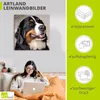 ARTland Leinwandbild Berner Sennenhund Größe: 40x40 cm Produktbild-Vorschau 2