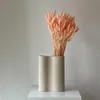 Lagurus Hasenschwanz Samtgras Trockenblumen 60-70cm DIY Produktbild-Vorschau 10