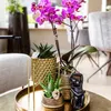 Kolibri Home | Pflanzenständer - Gold Metall Produktbild-Vorschau 4