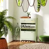 A hallway or entryway with a green shoe cabinet, a plant, and an umbrella. Voir les images du produit