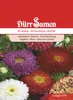 Aster Riesen Prinzess | Asternsamen von Dürr Samen Produktbild-Vorschau 1