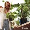A woman is watering plants indoors. Produktbild-Vorschau