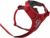 Ruffwear Front Range™ Hundegeschirr Produktbild-Vorschau 6