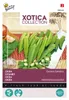 Buzzy Xotica Okra Clemson Beztŕňové semená - cca 8 gr | Náhľad obrázku produktu 5