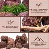 Aquarium Natursteine Lavastein rot 10 Kg Mix Größe M bis L Produktbild-Vorschau 3