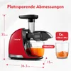AMZCHEF Entsafter für Gemüse und Obst, Slow Juicer,  Produktbild-Vorschau 8